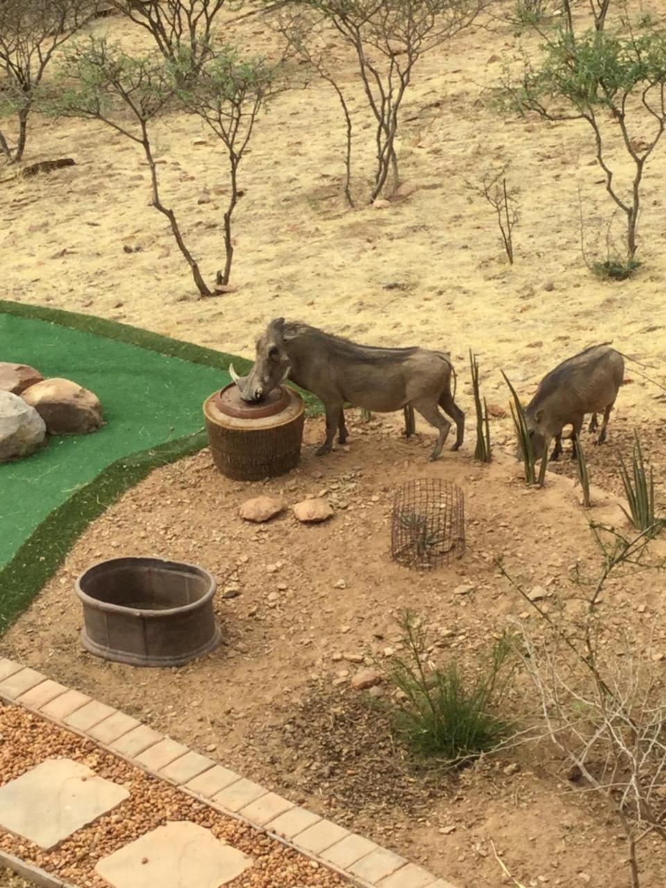 Windhoek Rural Self Catering Voigtland Esterno foto